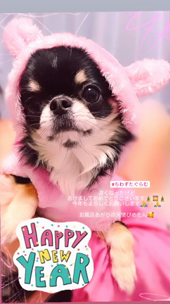 Happy New Year☆2023の記事動画
