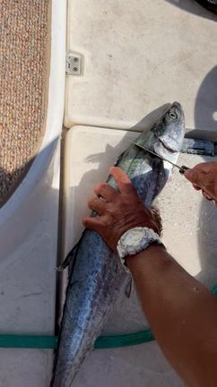 久々の海の記事動画