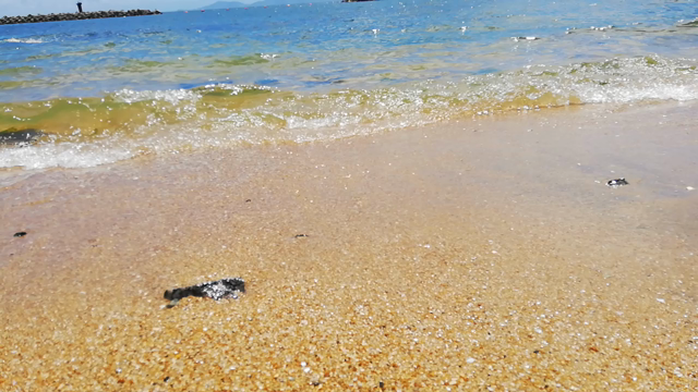 思い立ったが吉日～アーシングの記事動画