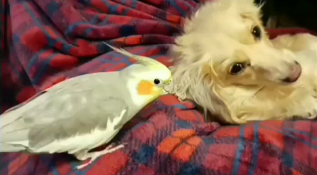 寒くなってきましたね〜の記事動画