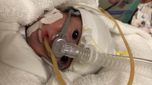 まれちゃん元気です。の記事動画