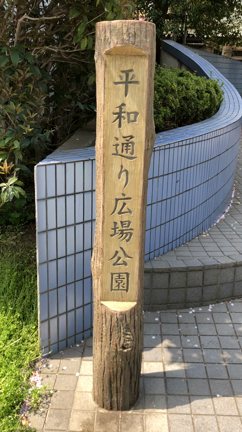 東京校近くの 桜の木の記事動画