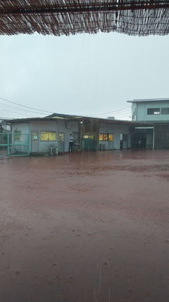 入場再開浦和競馬初日のお馬ちゃんの記事動画