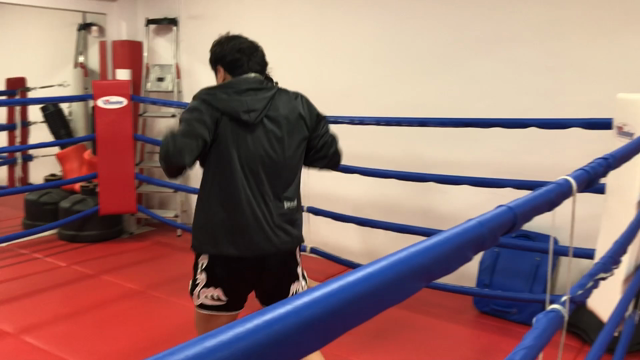 トレーニングの記事動画