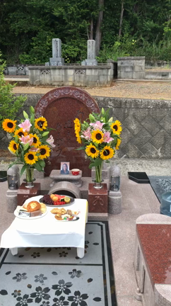 墓参りの記事動画