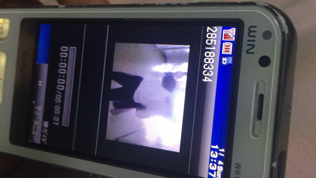 てきとーにこーしんします。Twitterみといてくださいの記事動画