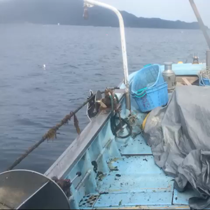 作業風景の記事動画