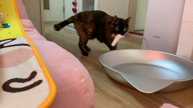 命と向き合う③の記事動画