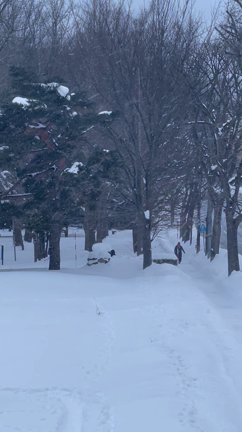 日曜日の様子( ′-′ )·˖✵⋆の記事動画