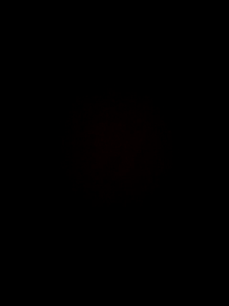 イベント前の記事動画