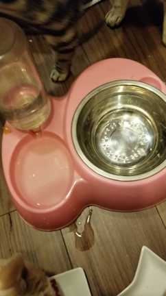 ✨楽しいねえ～✨の記事動画