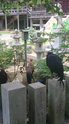 書くことがない・・・の記事動画