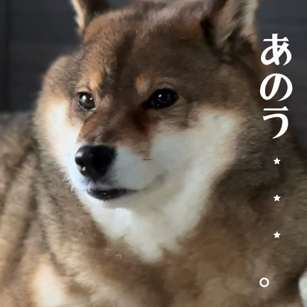 コソコソお菓子を食べていると…。の記事動画