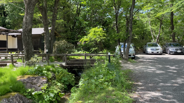 自然の中で、リフレッシュしてます。の記事動画