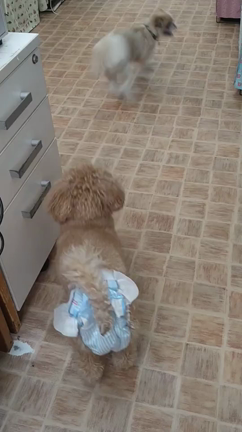 7/8(金)のホテルの様子の記事動画