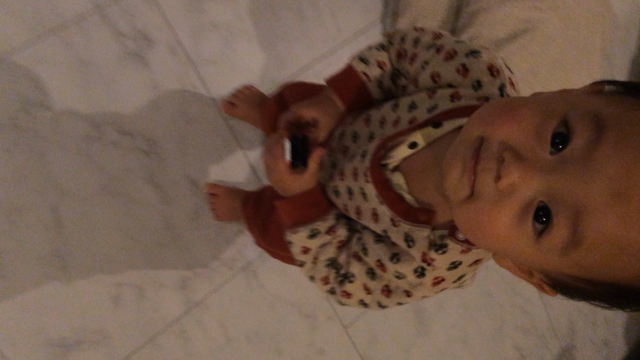 ブーブーの記事動画