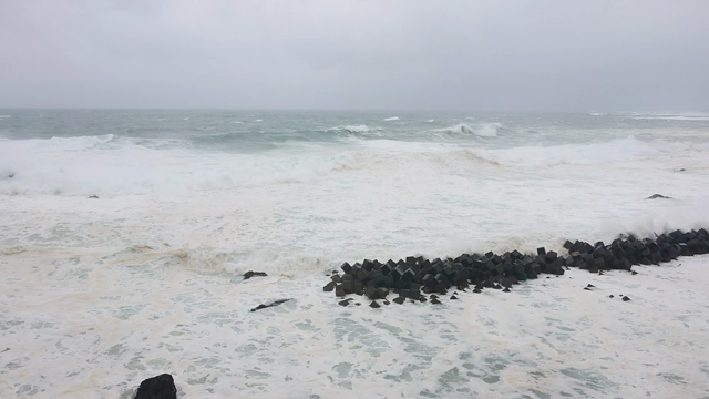 ８月１４日　　台風クローサの記事動画