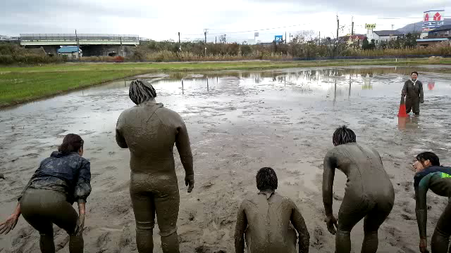 勝負！の記事動画