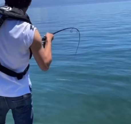 コロダイ捕獲！（ ＳＨＯＴＡ ）の記事動画