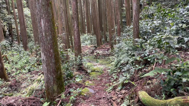 那智の滝2回目の記事動画