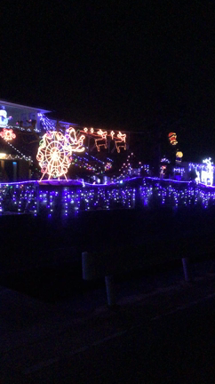 電飾の記事動画