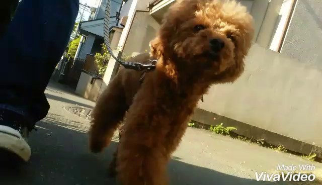 ローアングル。。。の記事動画