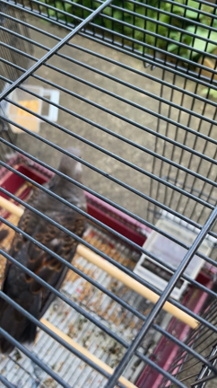 休日の楽しみ。　宮城光輝の記事動画