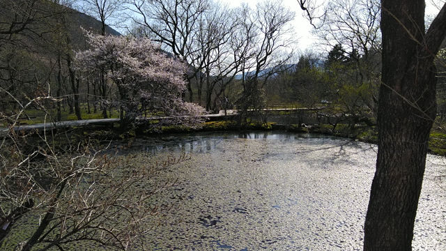 地球主体地球くらぶ環境命守り持続循環∞の記事動画