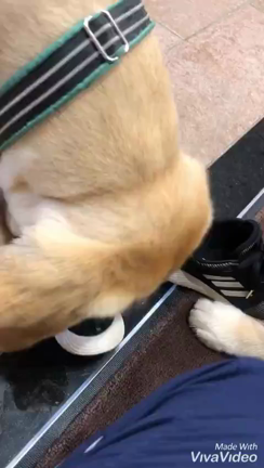 職員さんのイジワルの記事動画