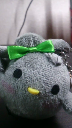 声の投稿(テスト)の記事動画