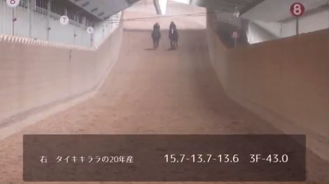 リアルダビスタ＃12～セール購入馬のその後～の記事動画