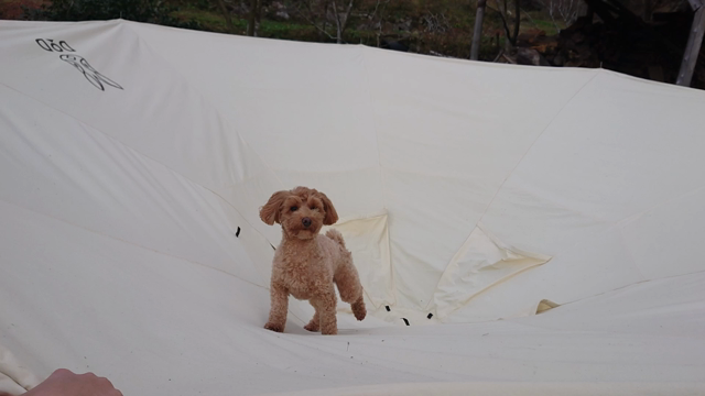 山瀬の里キャンプ場　2日目の記事動画