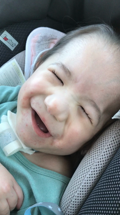 においだまの記事動画