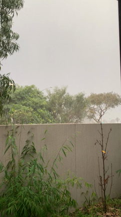 July.19.2020の記事動画