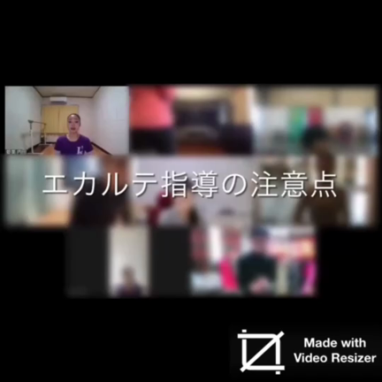 エカルテ指導の注意点の記事動画