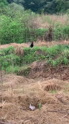 岐阜県各務原市 社労士 助成金 従業員の雇用を守る 雇用調整助成金申請いたします。の記事動画