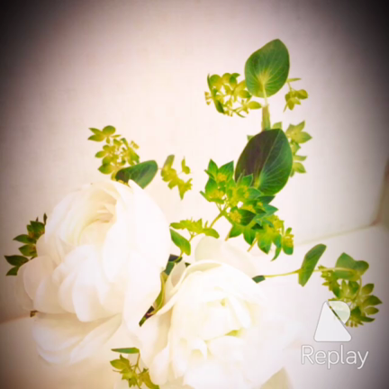 感謝2015の記事動画