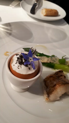 卒業お祝いの記事動画