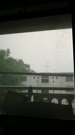 巫女の魂が喜びました！✨✨の記事動画