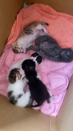 5/6(木)、7(金)の記事動画