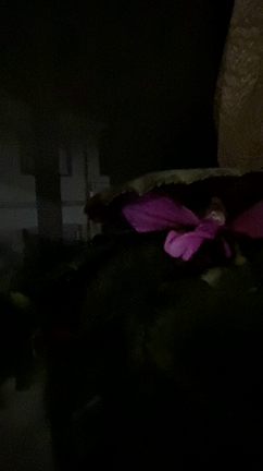 はたなかのお弁当 2022年8月23日火曜日【音あり】の記事動画