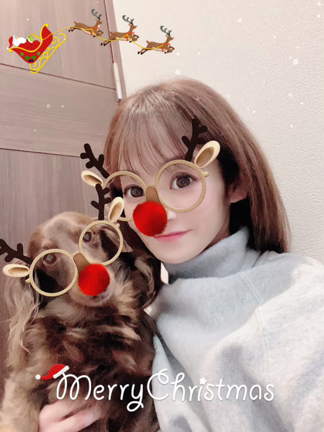 ✨メリークリスマス✨の記事動画