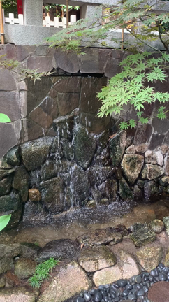 ①師匠と東京の神社⛩三社巡り！の記事動画