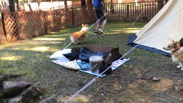 ＮＡＯ明野高原キャンプ場の続きの続き♪の記事動画