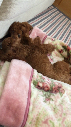 仲いいの？？の記事動画