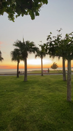 【沖縄移住】執着心の断捨離をしたの記事動画