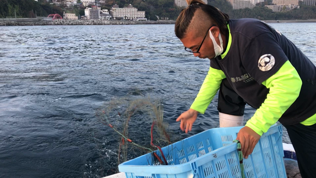 伊勢海老刺網漁の網撒き見学❣️の記事動画