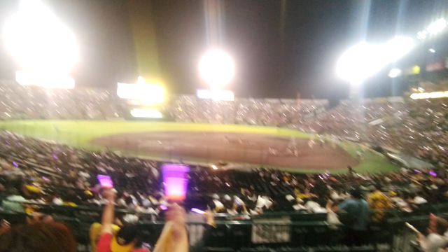 ぜいたく〜〜の記事動画