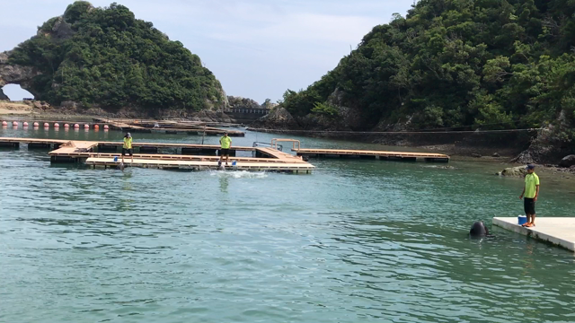 シルバーウィーク3の記事動画