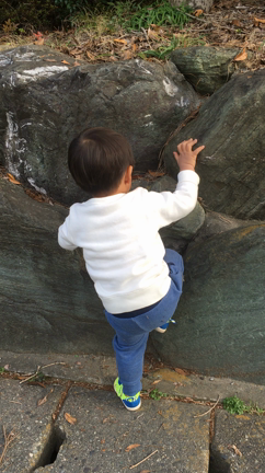 新年のご挨拶と目標の記事動画